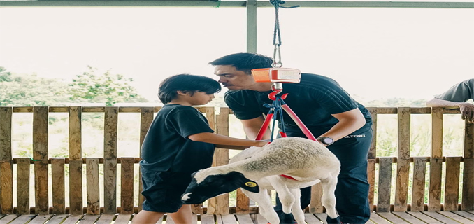 Ayudia & Dito Vakum dari Dunia Hiburan, Intip Bisnis Barunya Beternak Domba